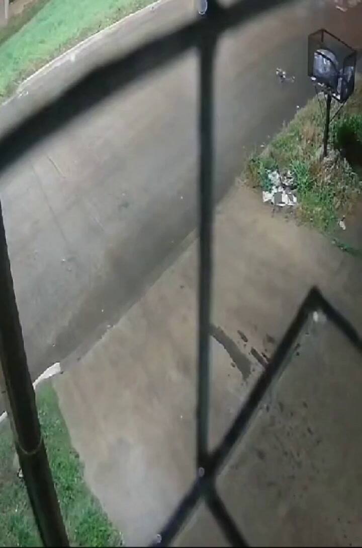 Ssstwitter.com 1723567812570