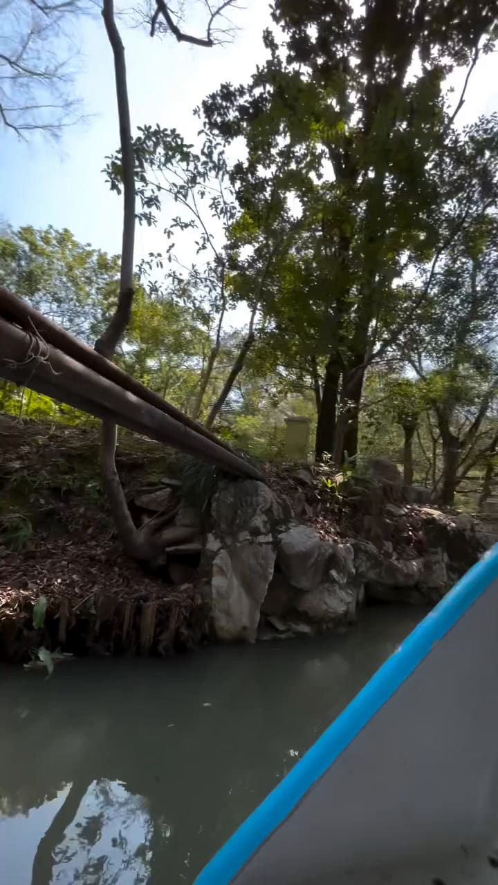 Franco Colapinto compartió su accidente en las redes. (Video: @francocolapinto)