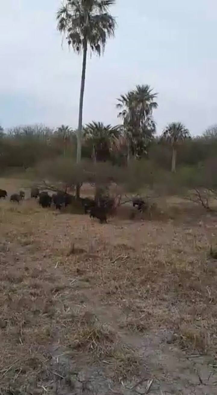 Whatsapp Video 2024-10-30 At 12.47.36