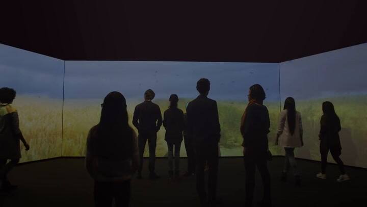Tráiler de la muestra Meet Vincent van Gogh