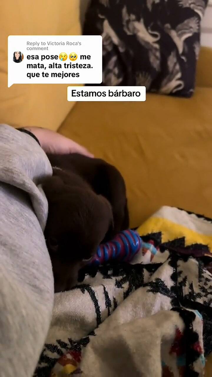 Ambos conviven felices en su hogar Gracias!