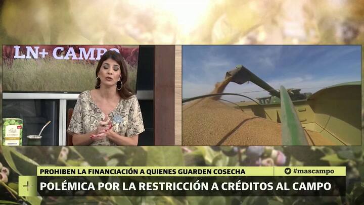 Entrevista a Jorge Chemes en LN+Campo