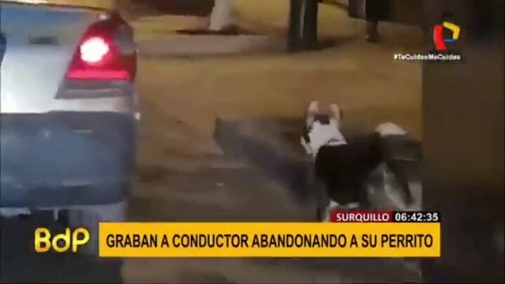 Un hombre abandona a su perro