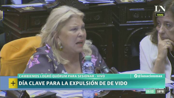 Expulsión de De Vido: las acusaciones de Carrió