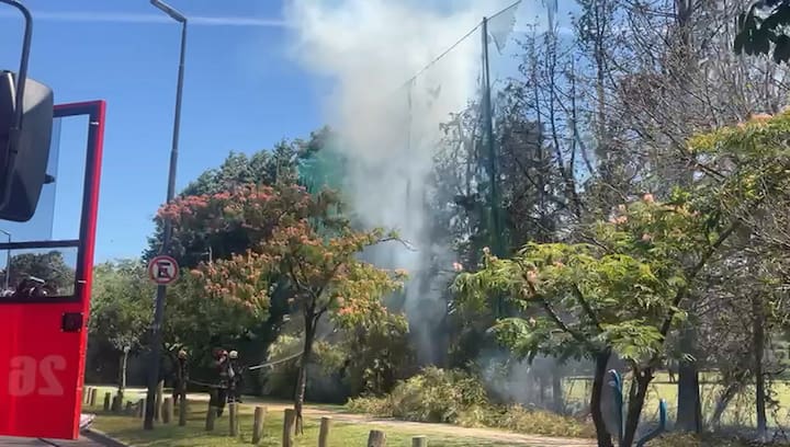 WhatsApp Video 2024-12-17 At 15.15.33