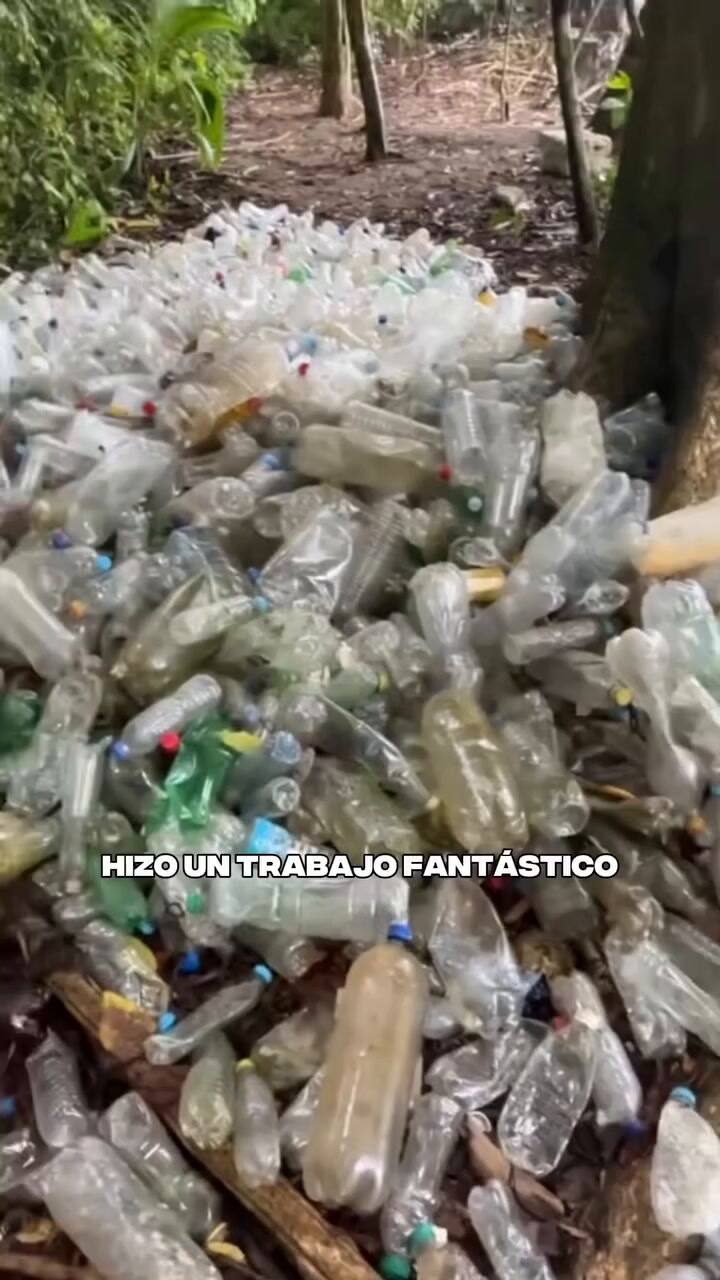 La limpieza del parque nacional en Costa Rica