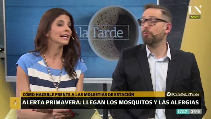 Alerta primaveral: llegan los mosquitos y las alergias