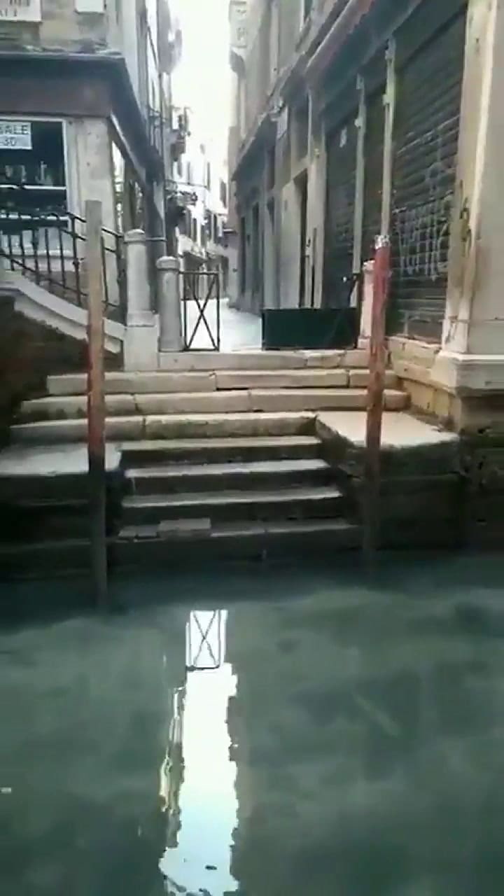 Luego de días sin presencia humana, los canales de Venecia se tornan cristalinos - Fuente: Twitter