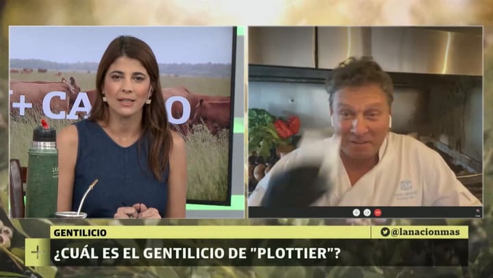 LN+ Campo Gentilicio