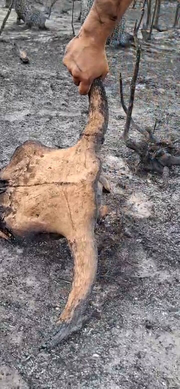 Incendio en Villa Lago Rivadavia