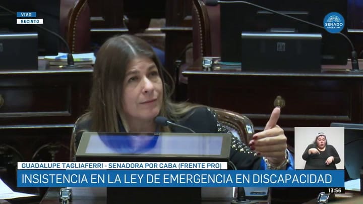 Guadalupe Tagliaferri pidió usar las "coimas" para financiar la emergencia en dispacadidad
