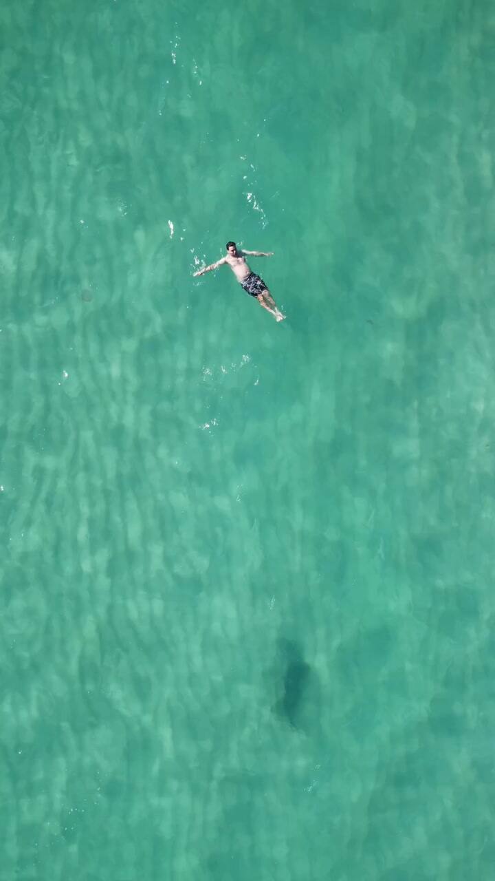 Nado Con Tiburones