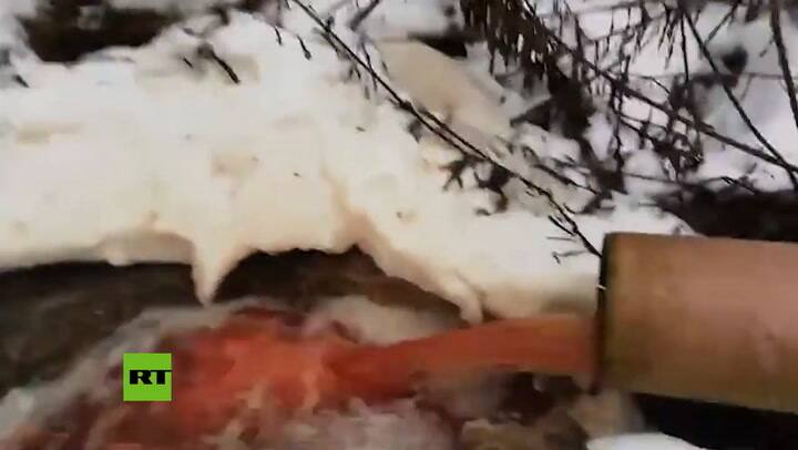 Apareció un río de sangre en Rusia causado por una granja de truchas - Fuente: Actualidad RT