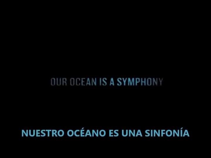 Alerta por la contaminación acústica de los océanos