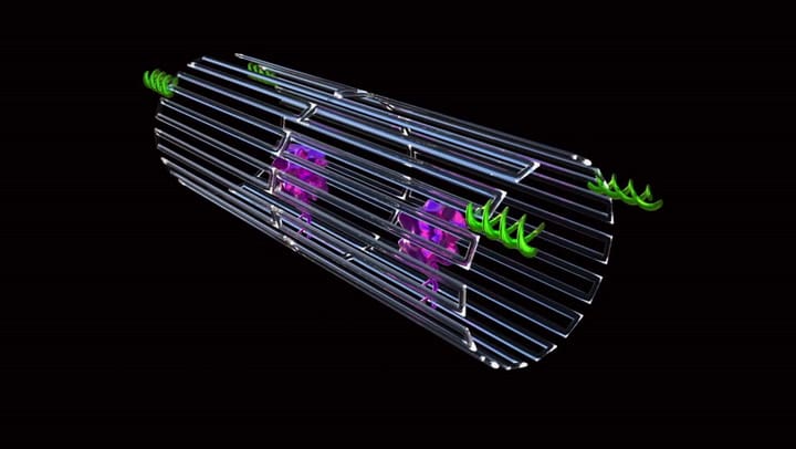 Así funciona el nanorobot anti cáncer