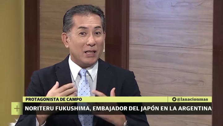 Los criaderos de vacas en Japón cuidan las vacas como si fueran sus hijos. Les dan masajes y cervez