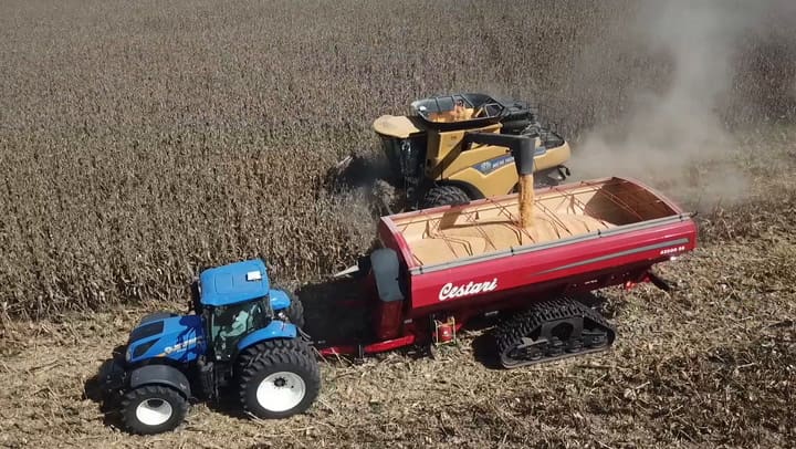 La cosecha en vivo en el campo de Ponzio (Gentileza AgroTV)