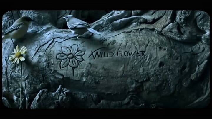 Billie Eilish - WILDFLOWER