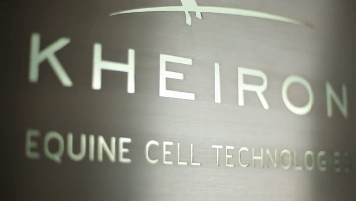 Título: El trabajo de Kheiron