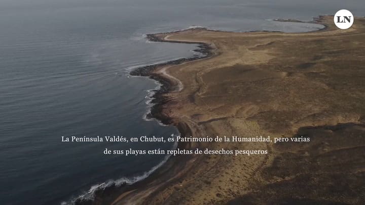 ¿Quién arruinó el mar argentino? Un road trip patagónico tras las huellas de la contaminación