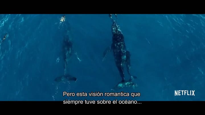 Trailer de Seaspiracy, la pesca insostenible