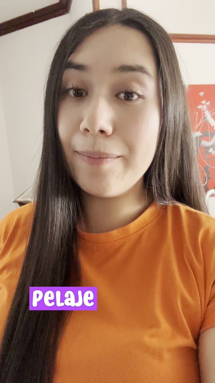 Beneficios del vinagre de manzana en los gatos