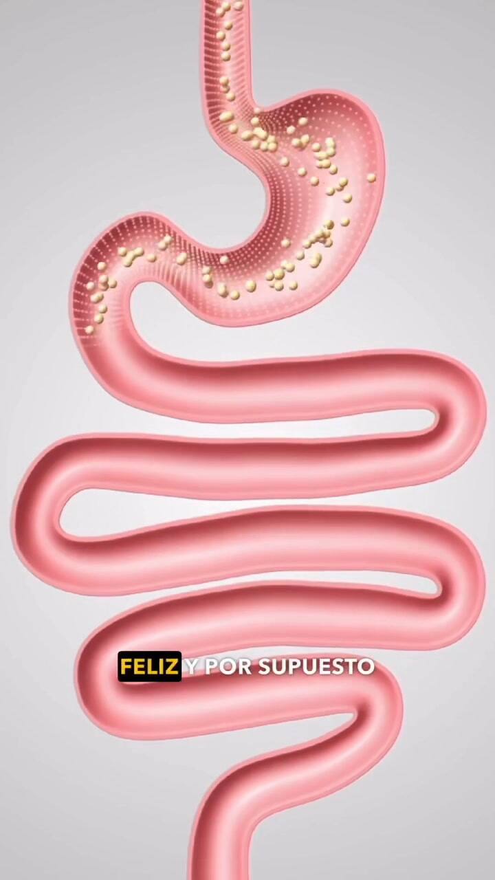 La alcachofa es la verdura definitiva para una dieta saludable