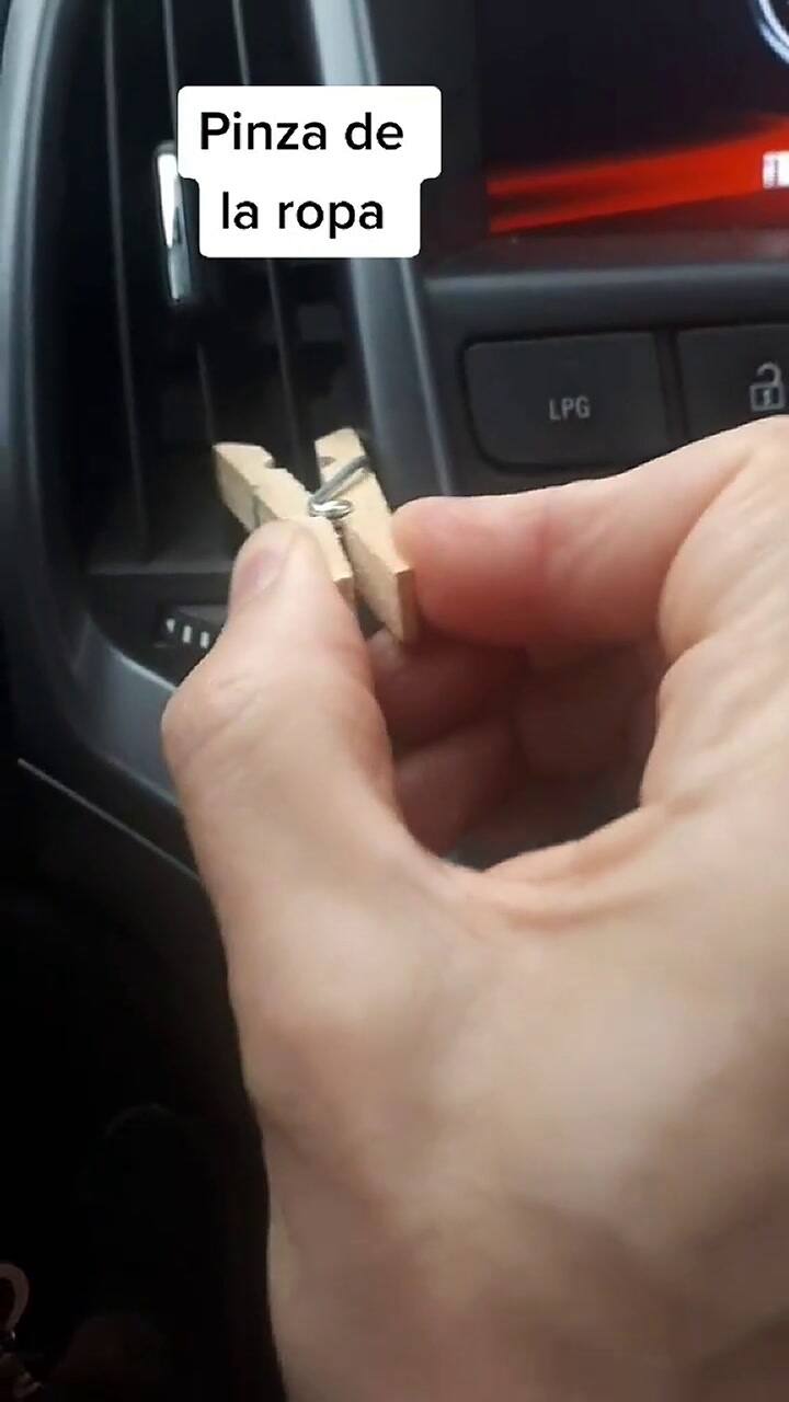 El ambientador natural para el auto