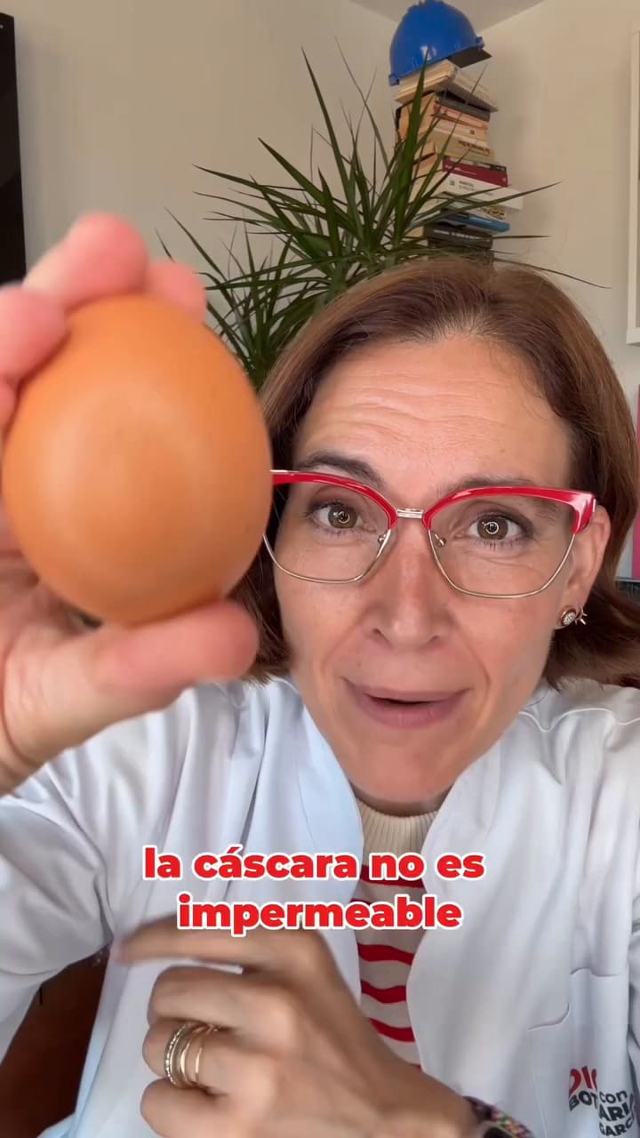 Por qué se guardan los huevos en la heladera