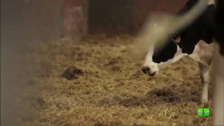 Discapacitados intelectuales lograron poner en marcha un gran negocio