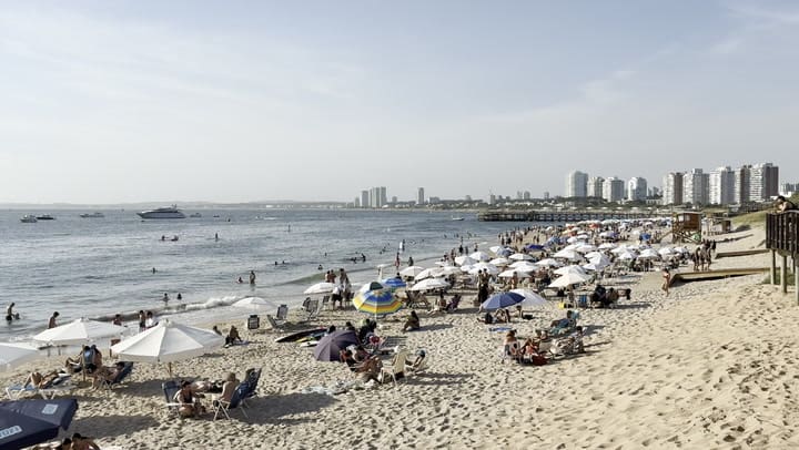 LN en Punta del Este