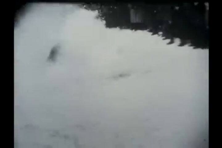 Tráiler oficial de Jamaica bajo cero (Cool Runnings)