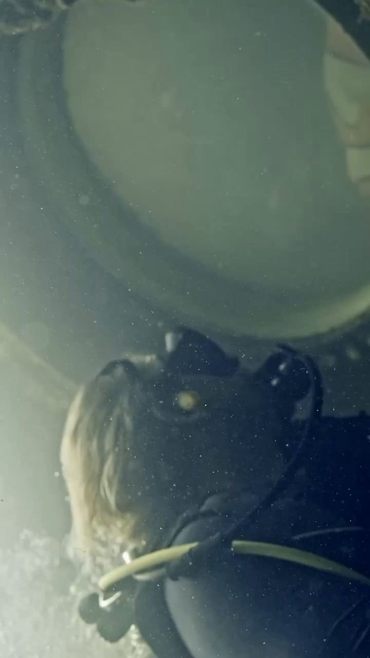 One. More. Week. #Drdeepsea