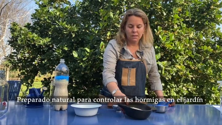Cómo hacer un preparado natural para evitar el ataque de las hormigas en tu jardín