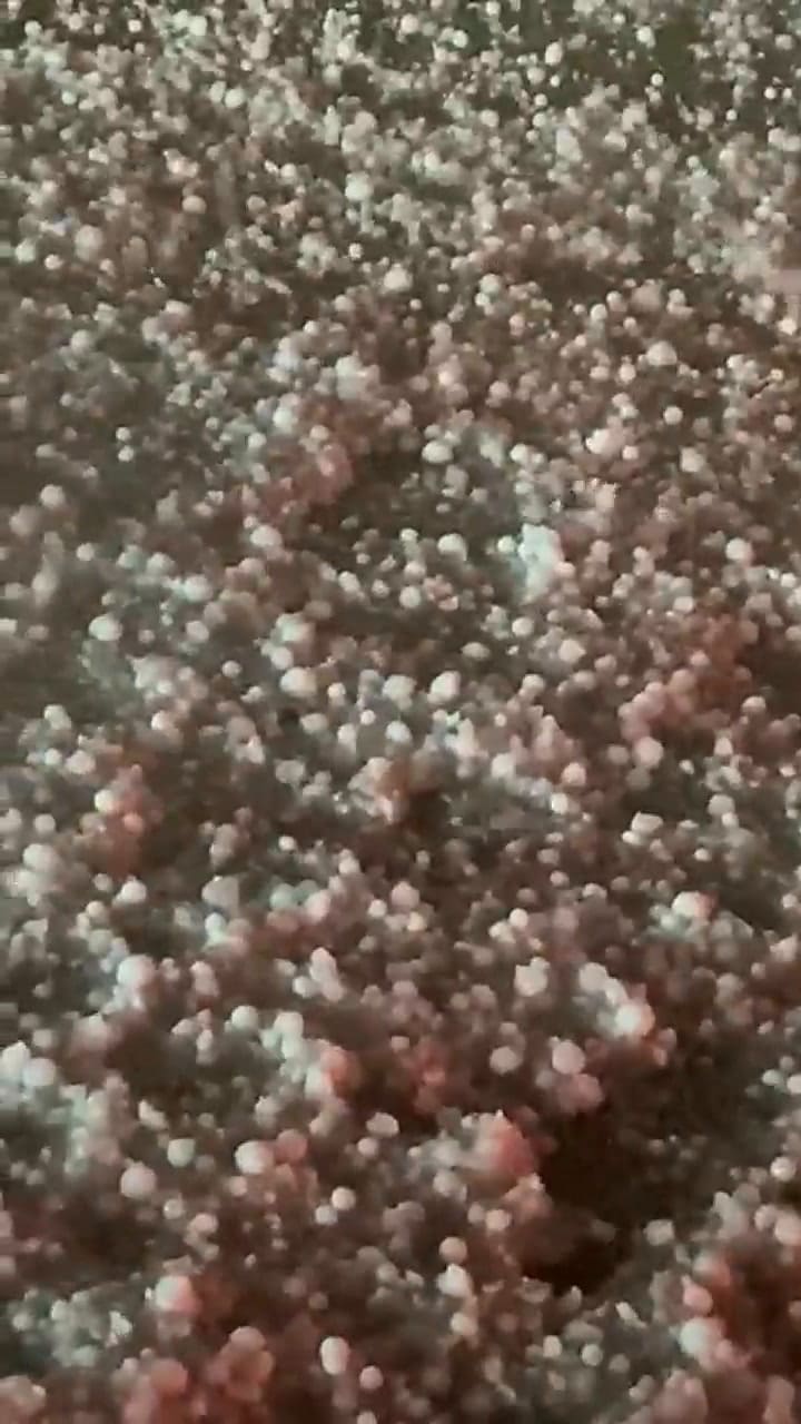 Algunas personas lograron resguardarse en su auto