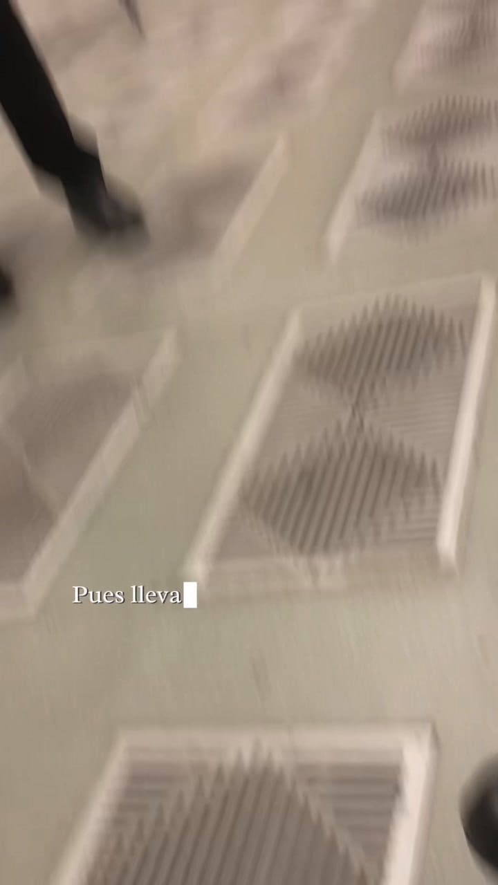 Así fue cuando el Santo Padre dio el consejo al matrimonio (Video: TikTok @dianamenaav)