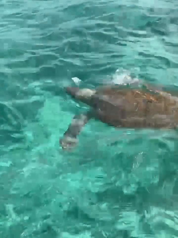 El video que compartió Antonela Roccuzzo mientras disfrutaba de la tarde soleada de Miami