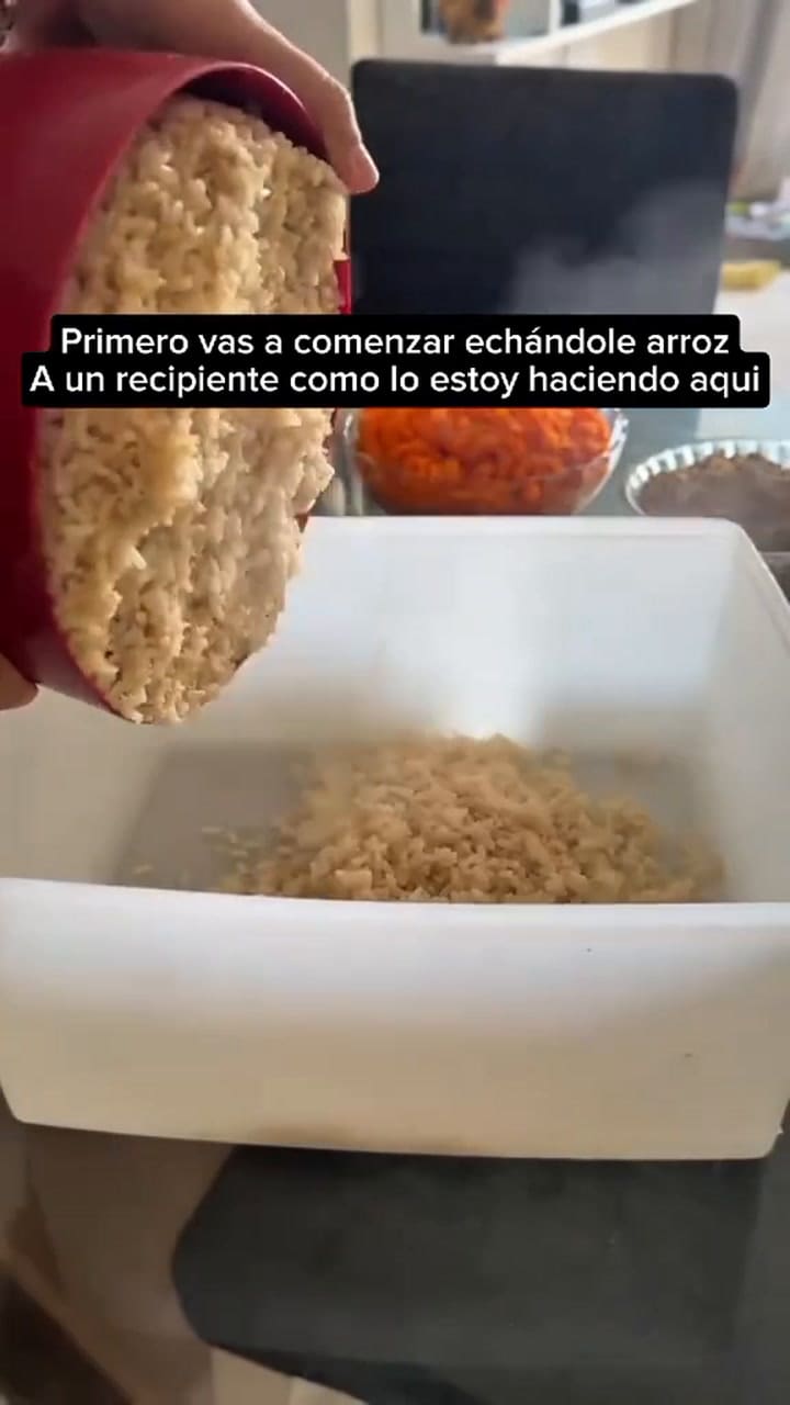 Cómo preparar arroz con calabacines para mi perro de forma sencilla y económica