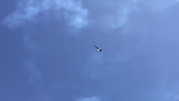 Los mejores videos que muestran la velocidad del sonido.