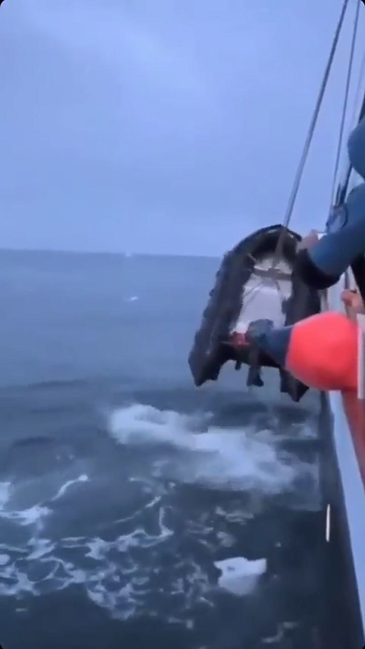 Una morsa atacó una embarcación de marinos rusos