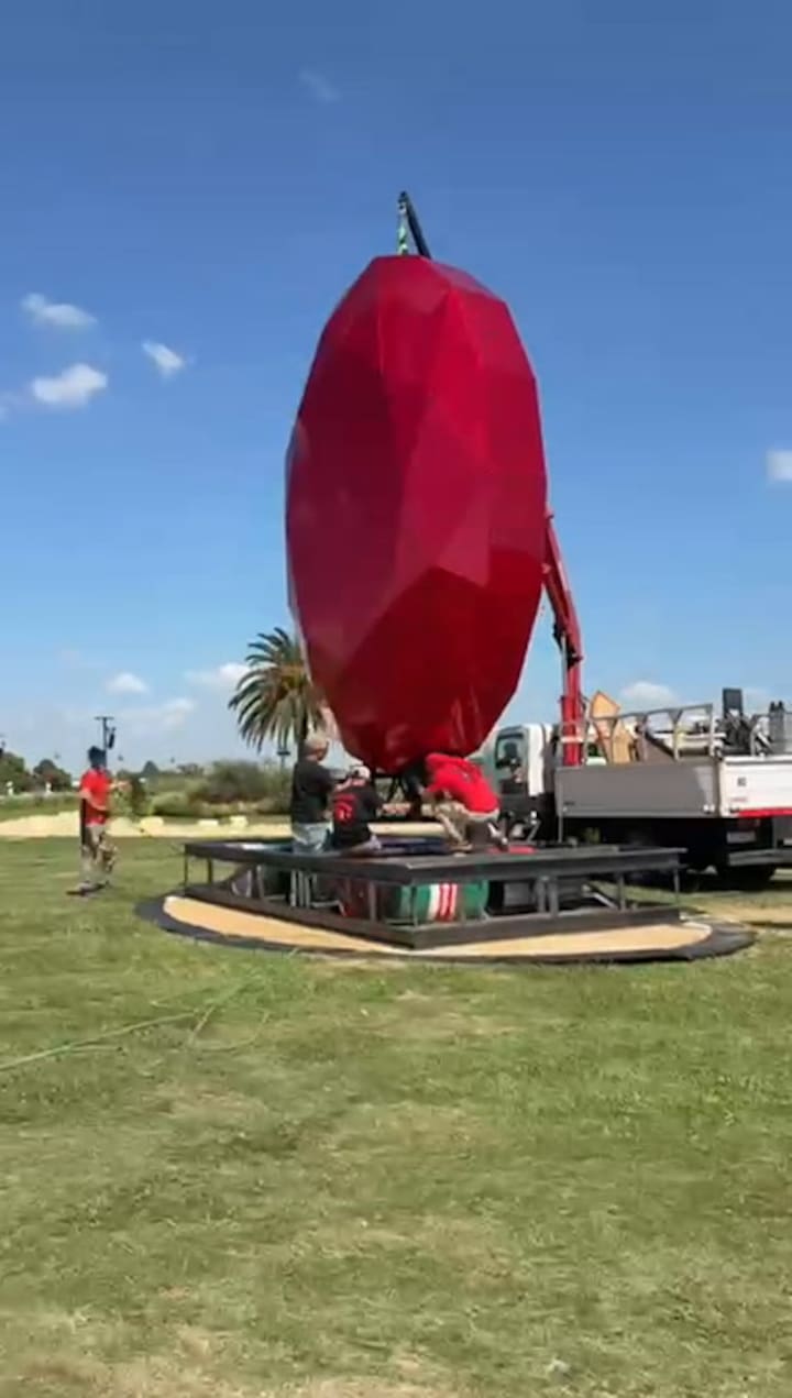 Cynthia Cohen en Lollapalooza