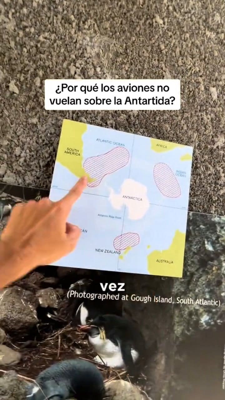Una joven reveló por qué los aviones no sobrevuelan la Antártida