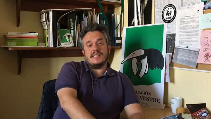 Martín Font, Director de Comunicación y Educación Ambiental de Fundación Vida Silvestre Argentina