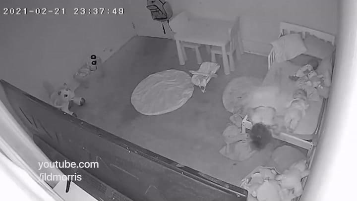 Un bebé es tironeado debajo de su cama