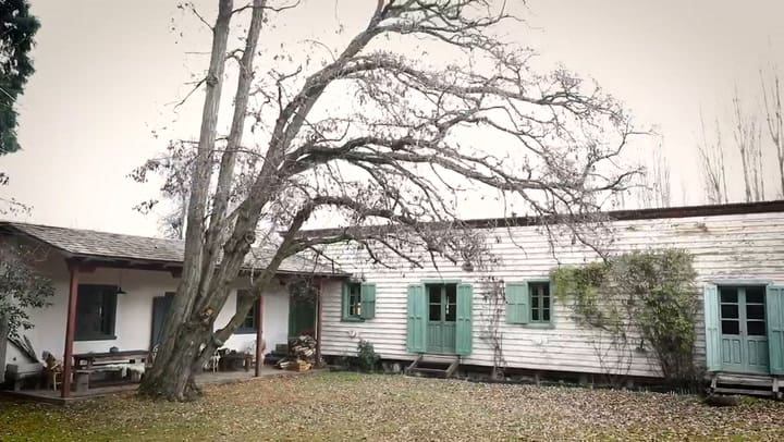 Donsalim - Crédito: Jade Sívor