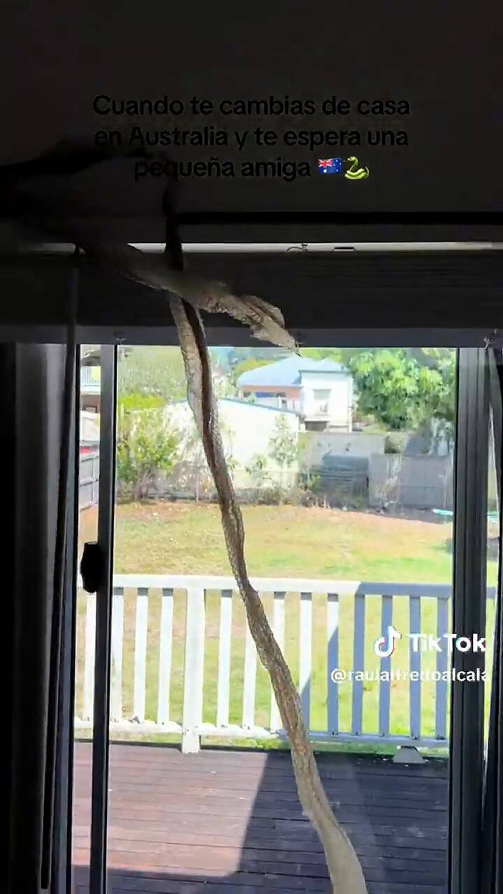 El hallazgo que encontraron en su nueva casa de Australia