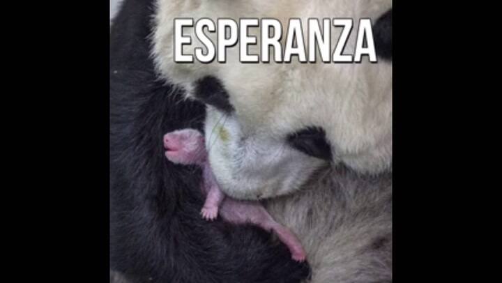 Las mejores fotos del World Press Photo 2017 (fuente: Huffington Post)