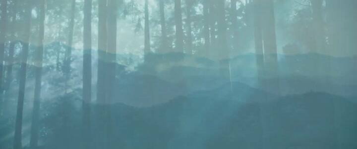 Trailer Vision - Fuente: TIFF 2018