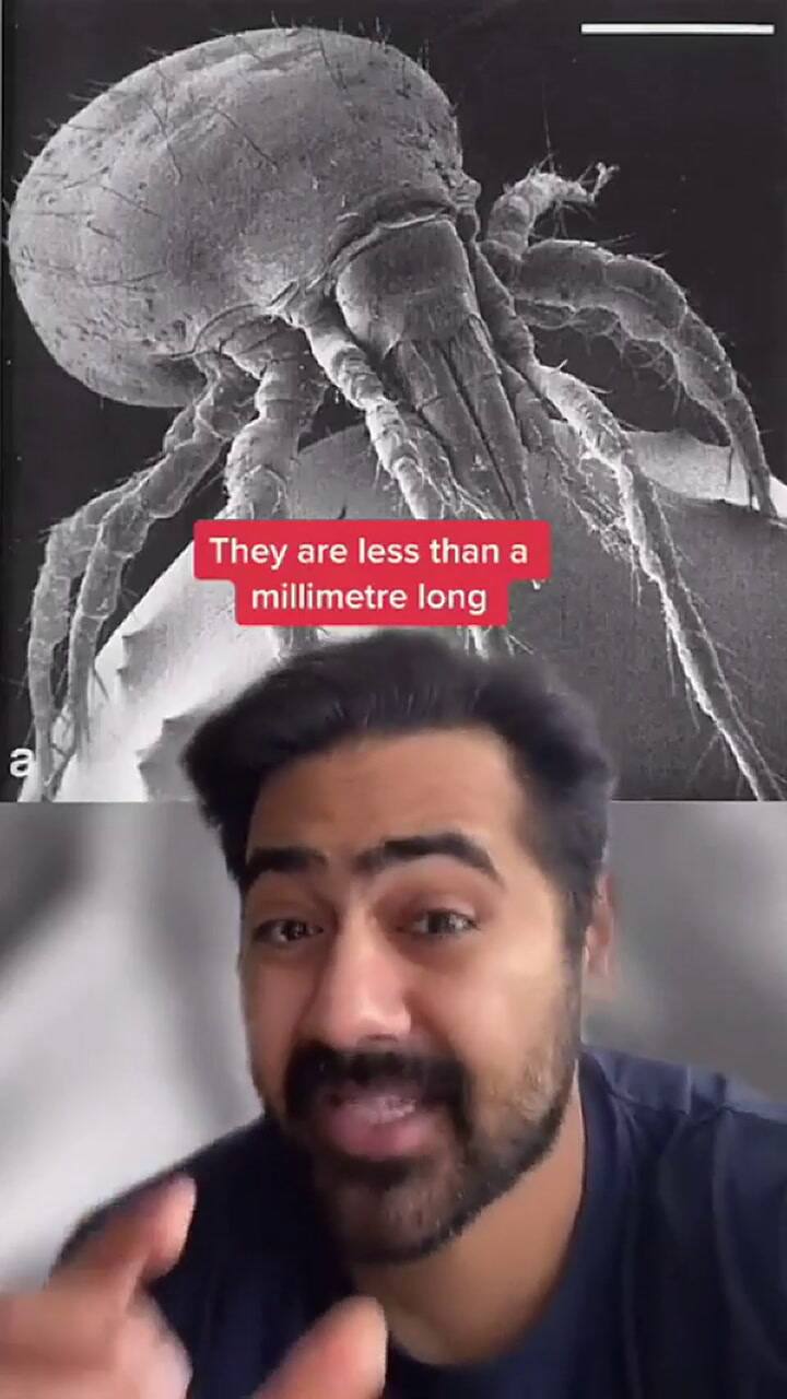 Un doctor del sistema de salud británico explica por qué no hay que hacer la cama temprano al levant