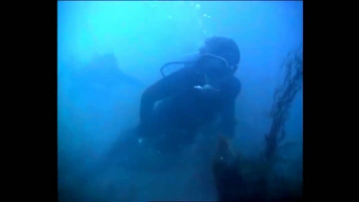 Trailer de la película Piraña (1978) - Fuente: YouTube